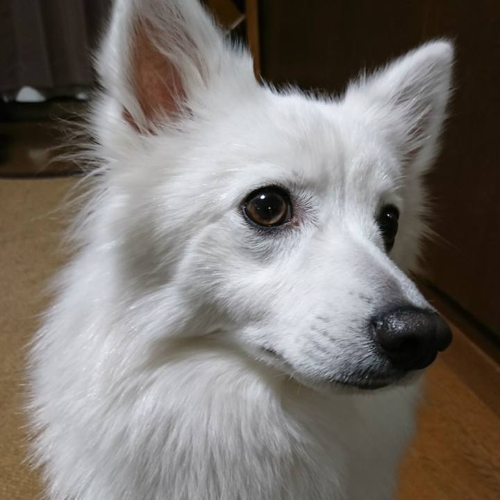 D72e5eb1 bfd8 4f3e a6d5 47e484af287c 1515260384389