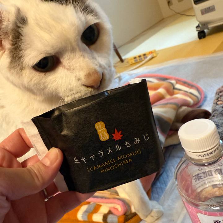 D72e6099 5c80 425f 982f 925d74933f8b 1763430999465