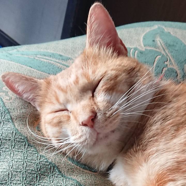 D72e6952 a81c 47dc 8c5f 113823440a60 1571456678848