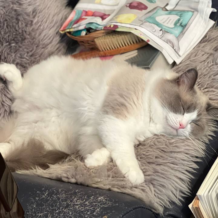 D72e9b8c cf97 4acf bb78 b69f03d83b62 1655346748699