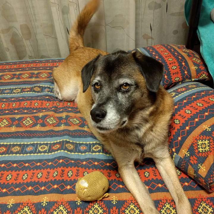 D72e9bfc a65f 4b88 b8f8 234abc465daa 1702691774266