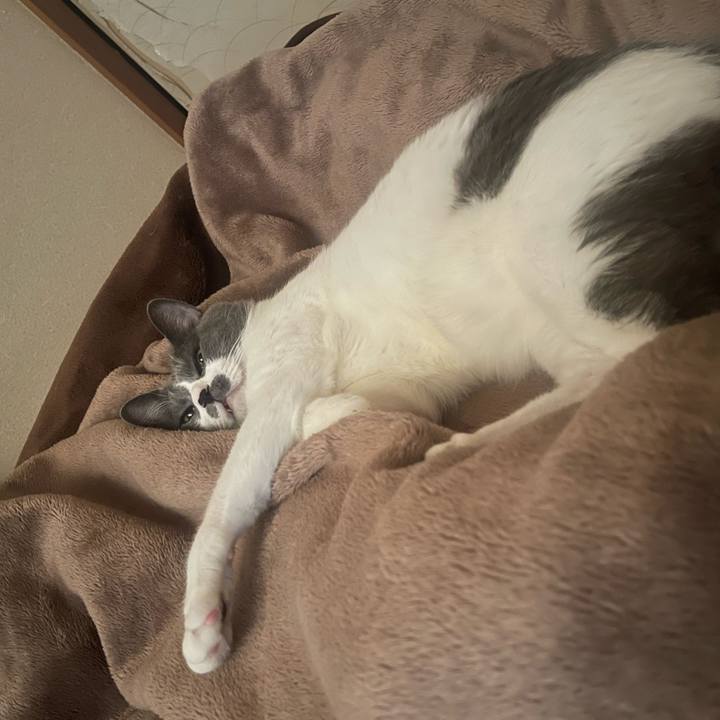 D72ec6b1 b788 4b9c b386 81ebe58e6c97 1697926921550