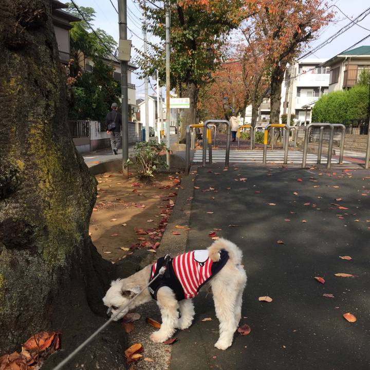 D72ede6e 8a0d 46ba a9f8 272dcfc9ddf4 1542522027429