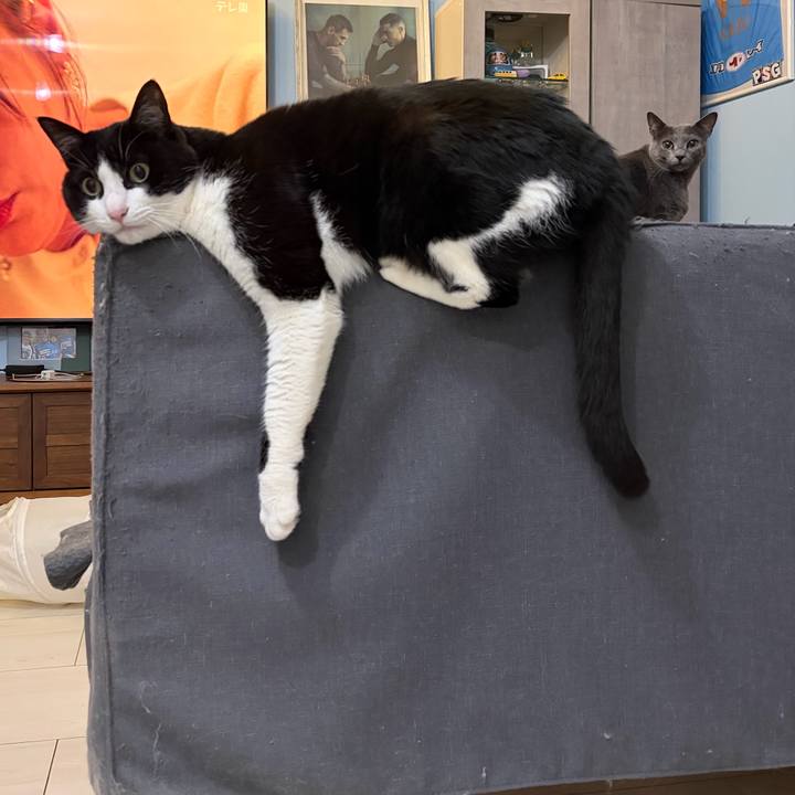 D72f0688 a986 49ad 89b7 61b1f1f932d7 1773457124755