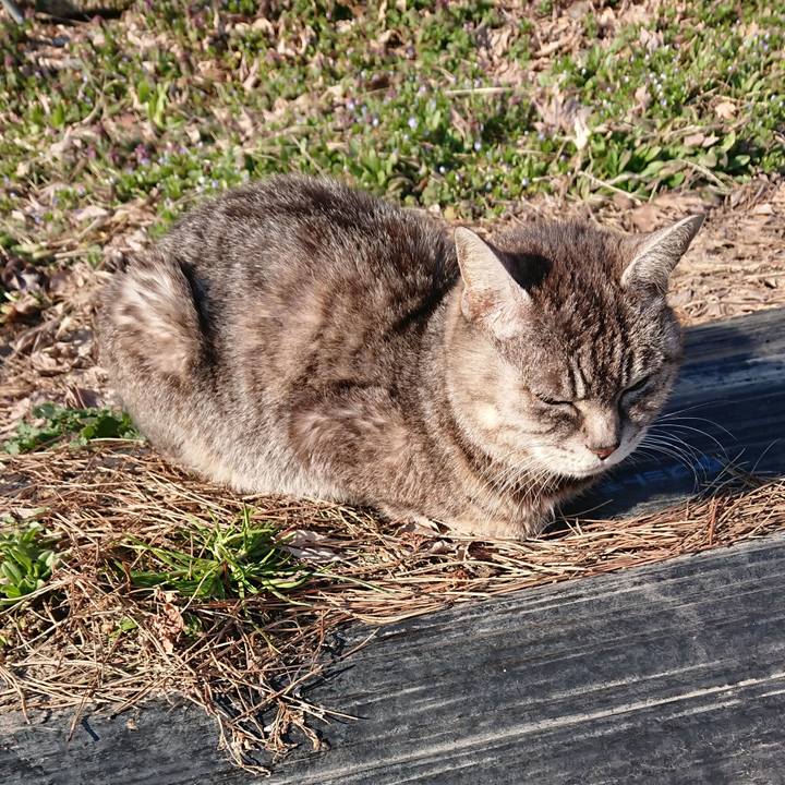 D72f13a8 2b33 432a b03b eb44b4278ced 1552717715478