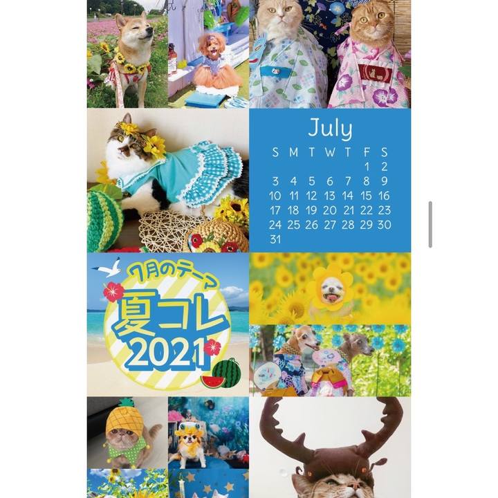 D72f3f3b b3fb 4c4f 8114 b1fff69d728d 1641253168538