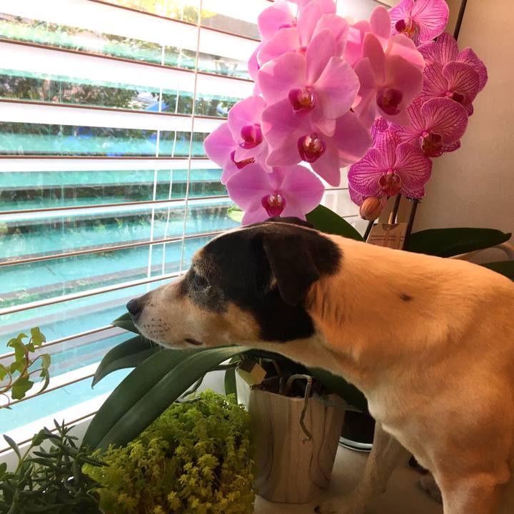 D72f626b 50bb 4a10 90b5 d469aaa153a7 1585606196634