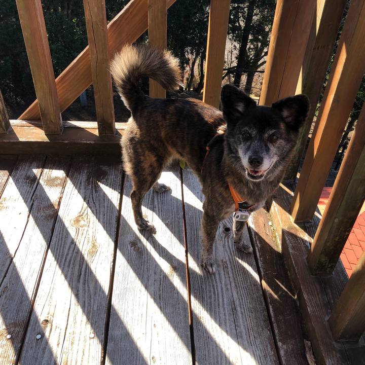 D72f86aa 2f00 487b a273 510b18785139 1673433136522