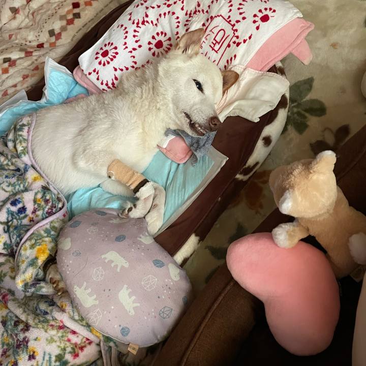 D72fc6a7 6d4d 42eb 93c0 29cf7545b91f 1679022368537