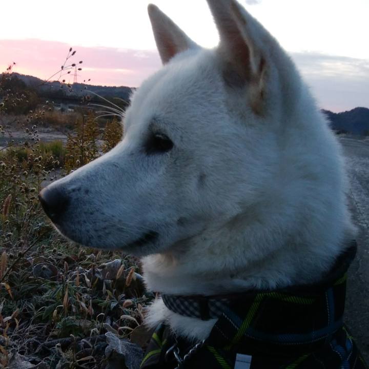 D72ff076 9f55 4e17 9229 00d6d590dc65 1511650139124