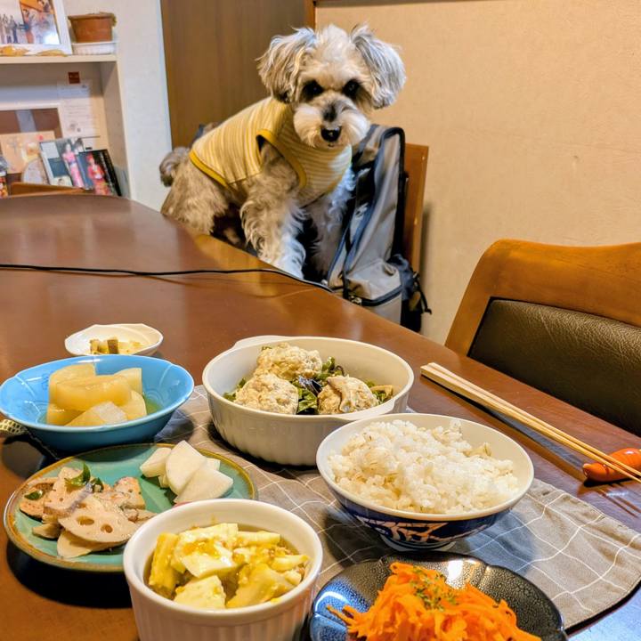 D7300fee 37e9 47a8 ba0e 409df5db0ef7 1763517914805