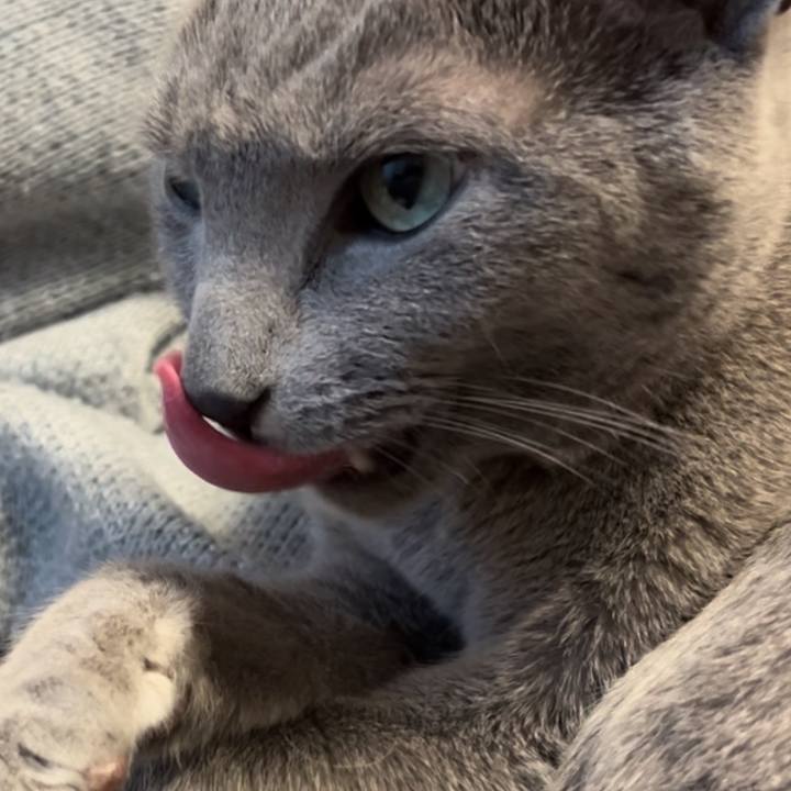 D7304574 fb75 4ae2 8b4b abd43ad26bb1 1742085086125