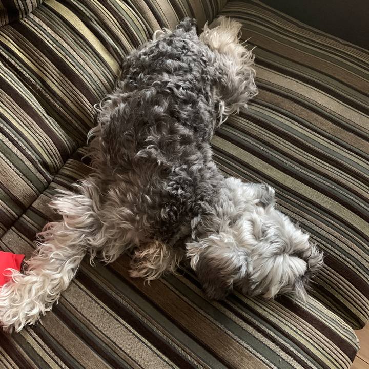 D7306367 8407 42fb bf09 ffa9408f6b0c 1591666200087