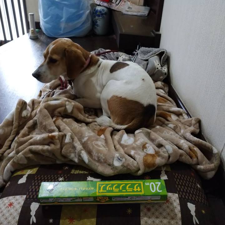 D730711c 123d 47e8 86ed a3f8ee1aa8fd 1585287225089