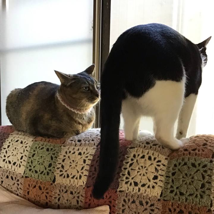 D7307b5e 27dd 4535 8547 aa6d91299df5 1667386739179