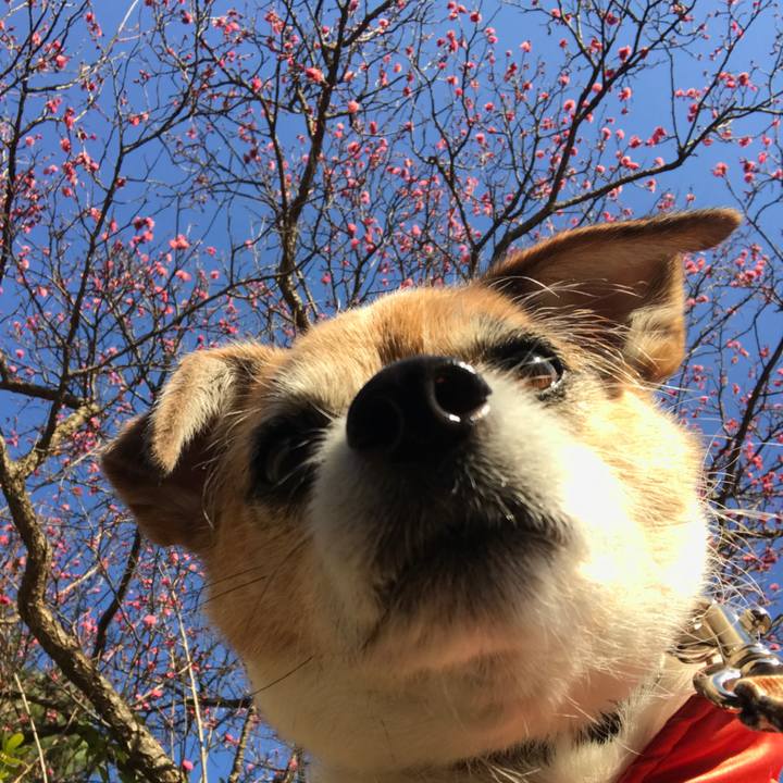 D730b779 3911 4888 aa15 12a82194deb4 1612422324867