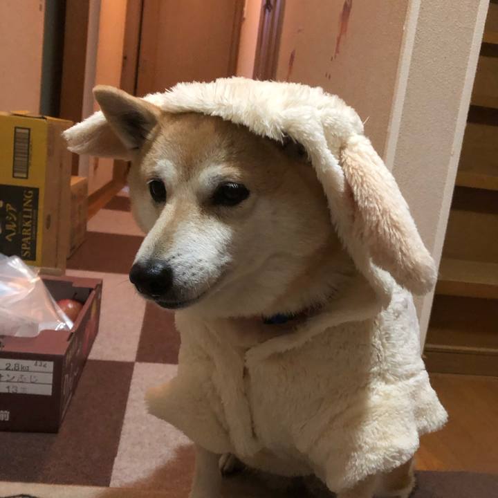 D730ba65 a117 4444 a01d b745bb6ad48d 1608123370990