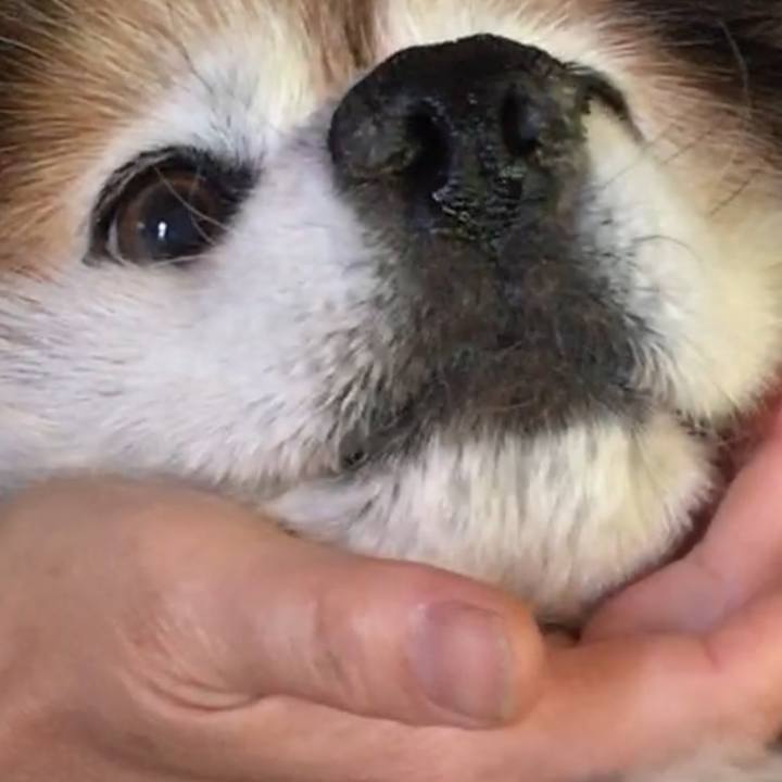 D731152e 51c8 433d a856 320e5c62a9b0 1630943440388