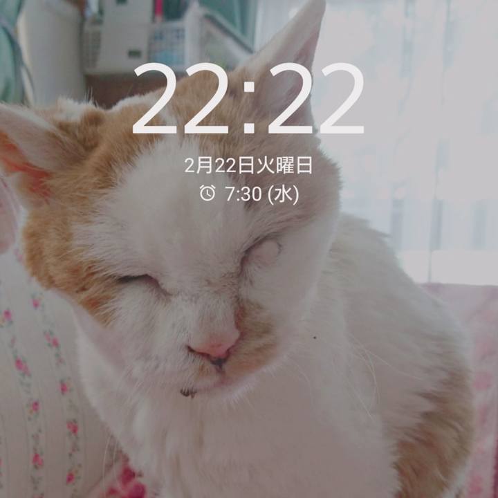 D731202b d777 48f7 93a3 62140d78f8ae 1645536450311