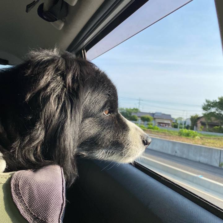 D731335e ae27 40a3 92f6 f8956e1d6883 1654725877072