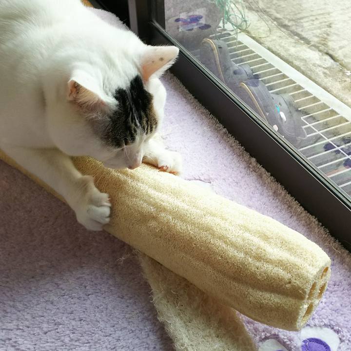 D7313af6 a7a3 475f a213 f09d7080808b 1516254409871