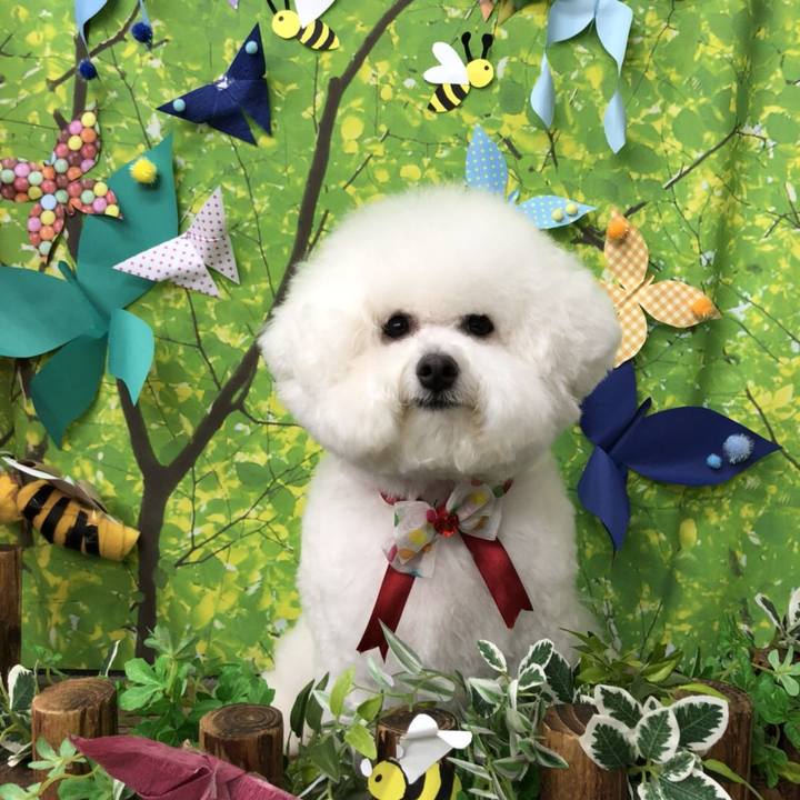 D7314d4b 8a20 4d77 bf27 ca301f5579d8 1527846565649