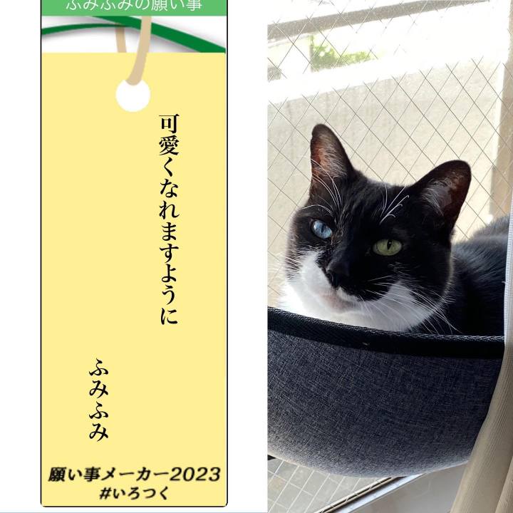 D731792e ab56 4536 8ac0 57d74f5e6719 1688721782808