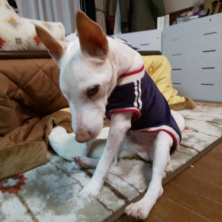 D7317967 4cd6 4597 b37e 432f7bbeb0b6 1577521154501