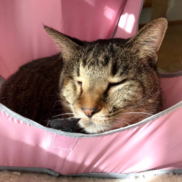 D731a9ce b2f4 4f2e aa1f 266c14e72615 1580291943175