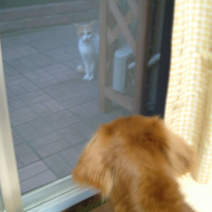 D731aa1f 6a9d 4c7d 9fbc 7b4d590028d8 1526802723693