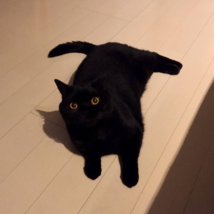 D731b7fc ce58 4a79 a6a7 dcac89019867 1594296367110