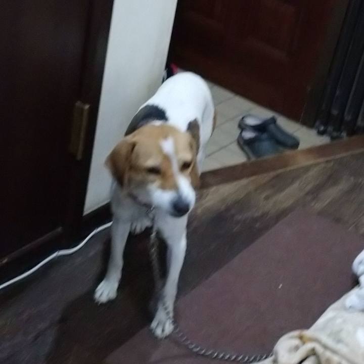 D731b831 f70c 4531 86d8 4e2792ace125 1582116476997