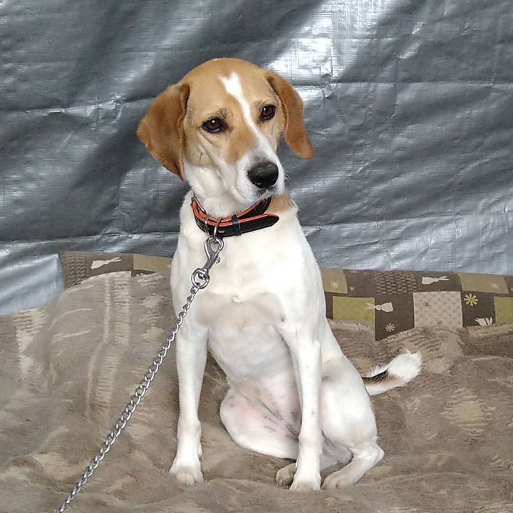 D731c50e a829 41de b3fe e47f06328d60 1623848465017