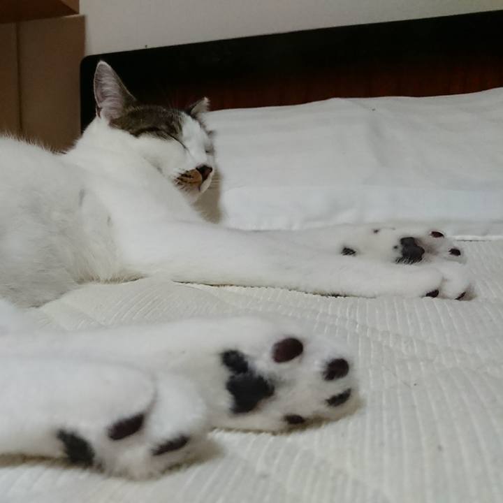 D731f127 a904 4600 be7b 71b6ad8fd674 1509611404290