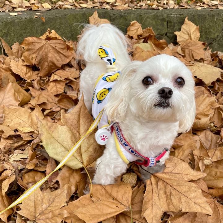 D73243fa 82d6 4a44 b09e 02b8a600f1af 1637210056056