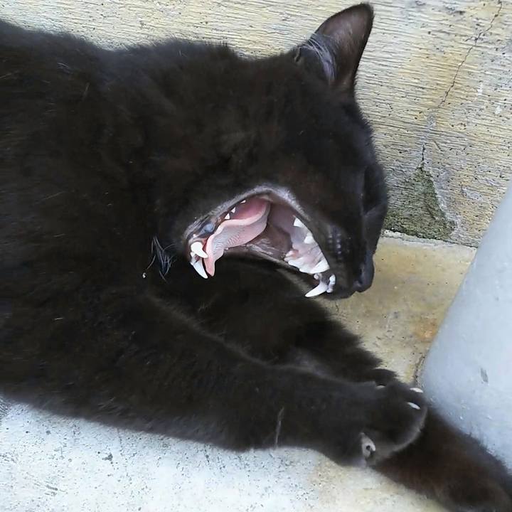 D73246d2 46b1 4b26 9229 7a11356c0c72 1557895957740