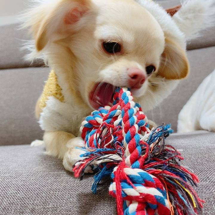 D732f2cb 9902 491a aa77 66a220266310 1609817638395