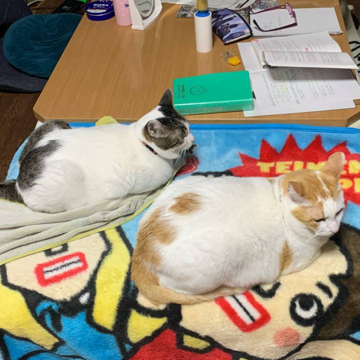 D7331615 26db 4baf b7e1 9dabfe3ce75a 1580559988877