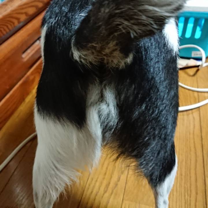 D7331c59 7dea 4174 9d48 ae78b70c619b 1543316656294