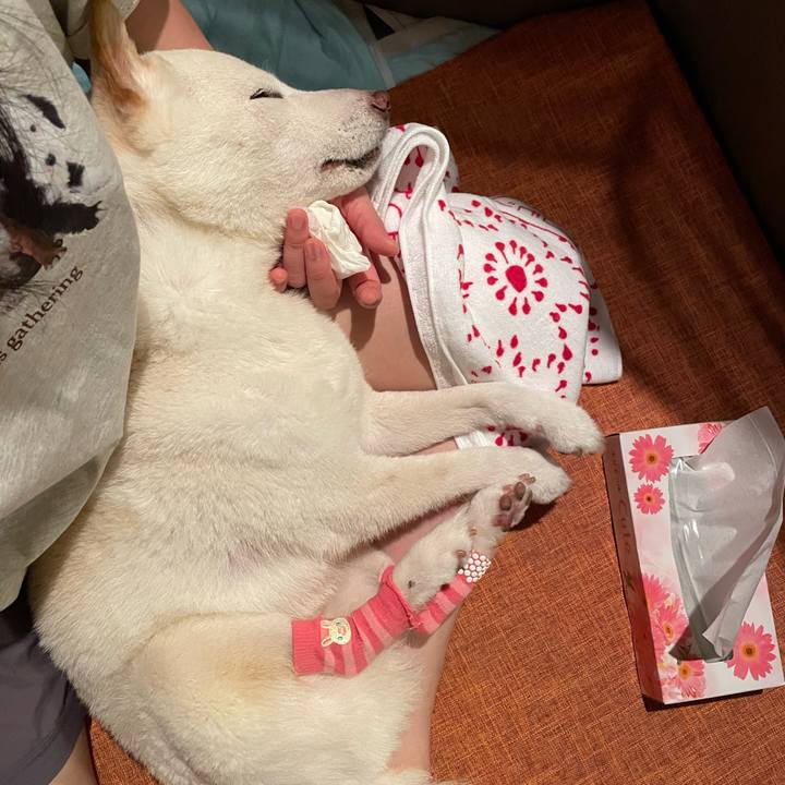 D7336a05 23a7 4ff0 a731 4b5bca5fdd2e 1662562334940