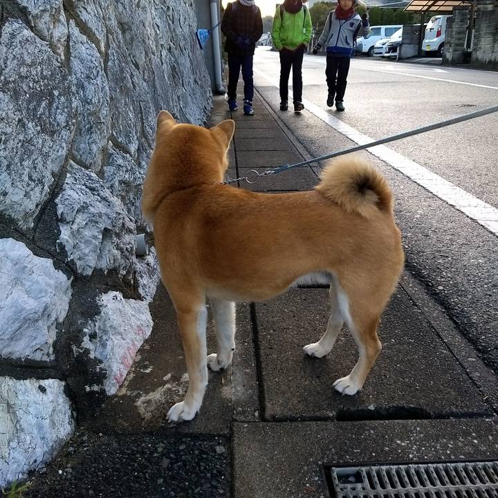 D733804b a519 4057 b6e9 fcb27fbacf1d 1513303649394