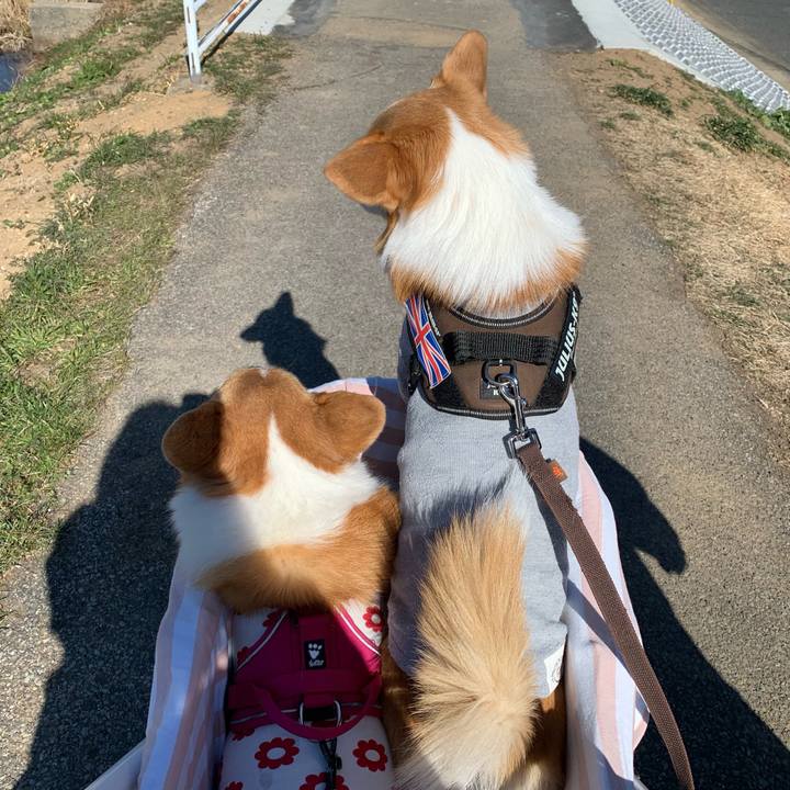 D73397d0 2dd6 41c7 9de4 5a8aac789db6 1674878083121