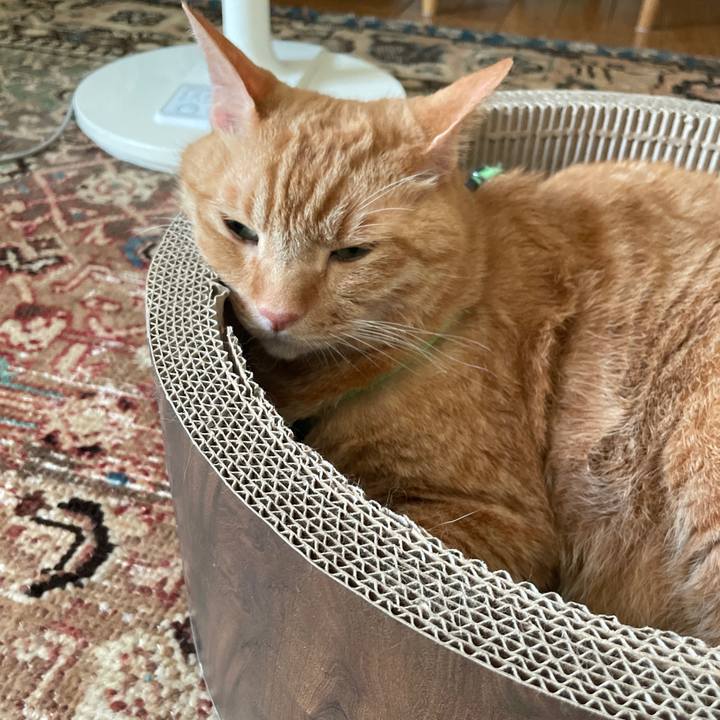 D733ed12 ab43 4b7f 9773 69f782694bd9 1753076171645