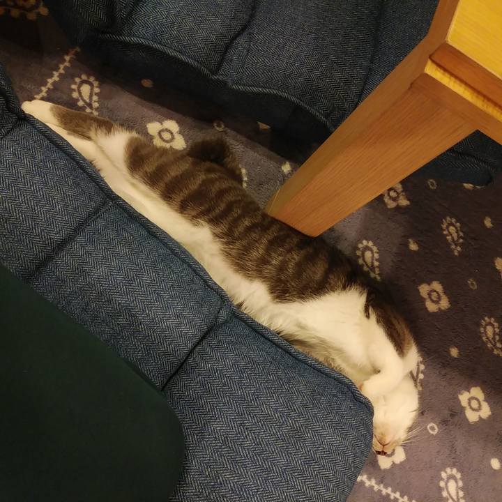 D7340195 a375 460f 8441 0bfedb2be508 1570893684191