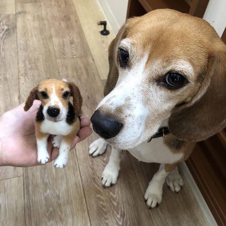 D734031e d51a 432a a376 1a53c17a5568 1540012412893