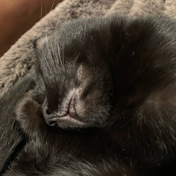 D734352d ccf7 4dd5 858b ea137b2b5525 1575984566265