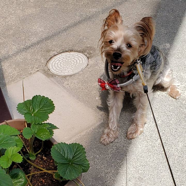 D7345257 a019 4a8d 9d08 3fb867af3a98 1563239659481