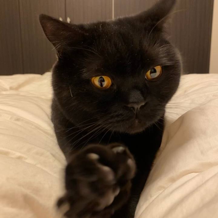 D7345e2e 2304 4f08 8eca 02cade689dff 1616764752572