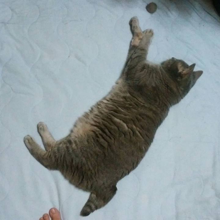 D7347d8e f795 46b2 a39f 4ff2c820df9b 1592913541392