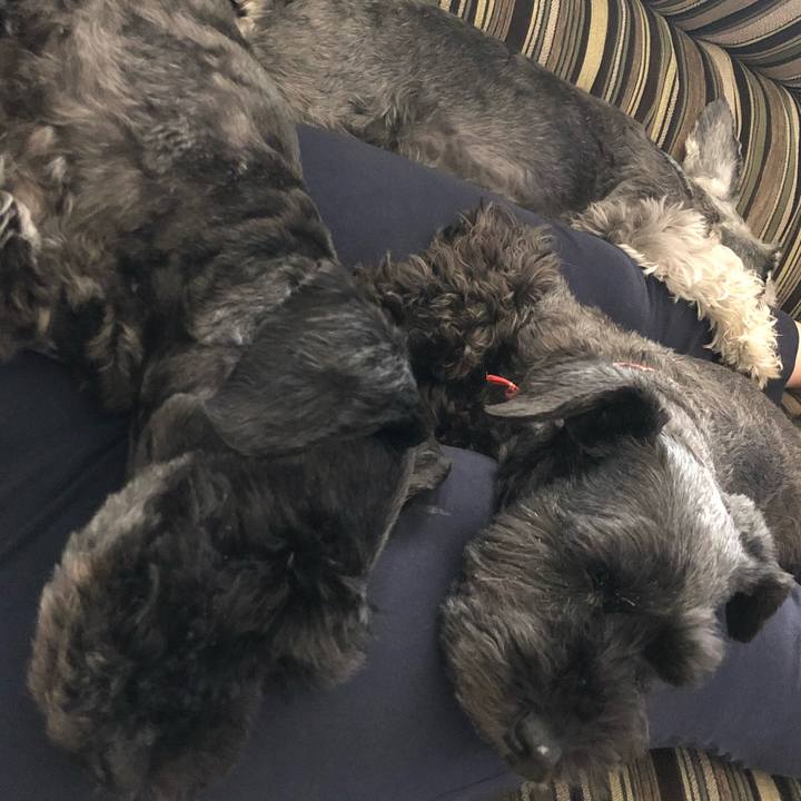 D7349266 c00b 470d b380 48dd0d58d9b0 1527911075712